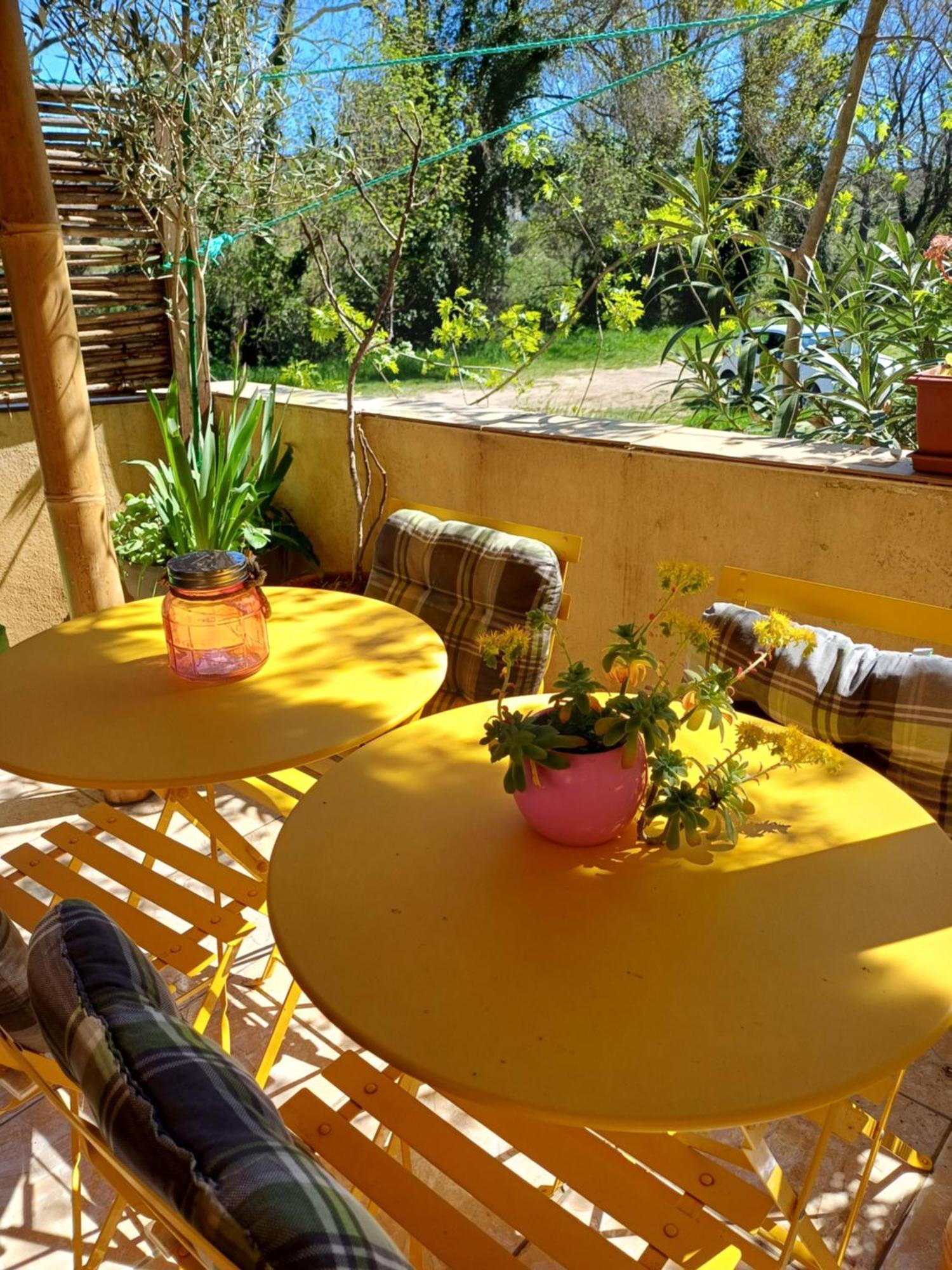Studio 10M2, Terrasse 18M2 , Parking, Piscine Et Accueille Les Animaux Quissac  Eksteriør billede